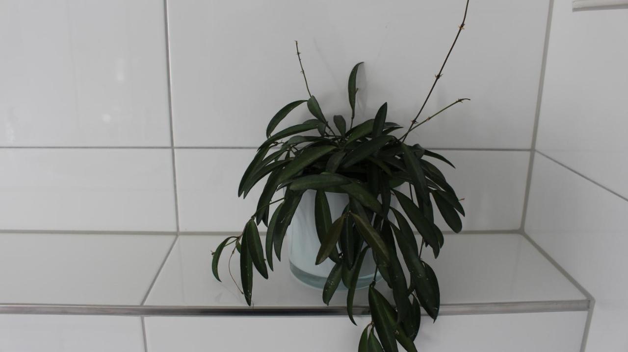 Appartement Maria Egg Luaran gambar